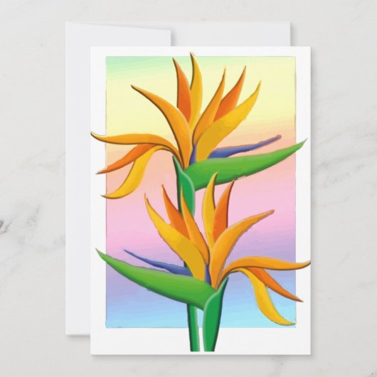 Paradiesvögel mit Rainbow-Hintergrund Einladung (Vorderseite)