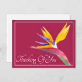 Paradiesvogel mit rosa Hintergrund Postkarte (Vorne/Hinten)