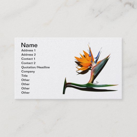 Paradiesvogel mit Shadow-Visitenkarte Visitenkarte (Vorderseite)
