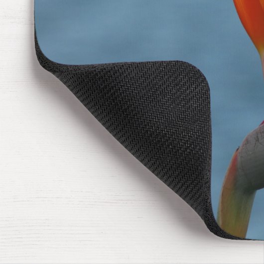 Paradiesvogel Mousepad (Ecke)