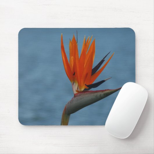 Paradiesvogel Mousepad (Mit Mouse)