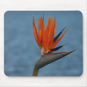 Paradiesvogel Mousepad