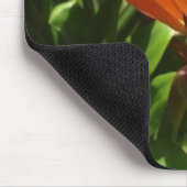 Paradiesvogel Mousepad (Ecke)