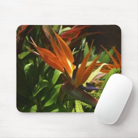 Paradiesvogel Mousepad (Mit Mouse)