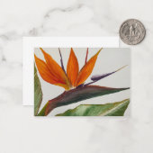 Paradiesvogel Notecard Mitteilungskarte (Vorderseite/Rückseite Beispiel)