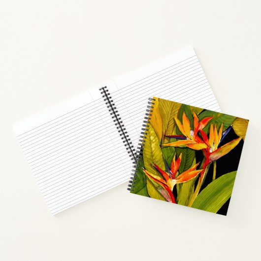 Paradiesvogel Notizblock (Innenseite)