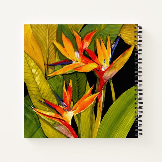 Paradiesvogel Notizblock (Rückseite)