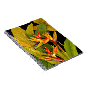 Paradiesvogel Notizblock (Rechte Seite)