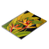 Paradiesvogel Notizblock (Linke Seite)