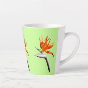 Paradiesvogel Orange Tropische Blume Milchtasse