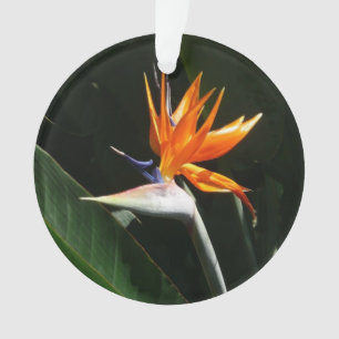 Paradiesvogel Orange Tropische Blume Ornament