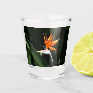 Paradiesvogel Orangefarbene Tropenblume Schnapsglas