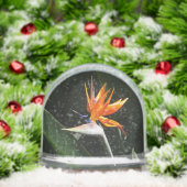 Paradiesvogel Orangefarbene Tropenblume Schneekugeln (Weihnachten)
