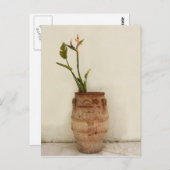 Paradiesvogel Pflanze Postkarte (Vorne/Hinten)