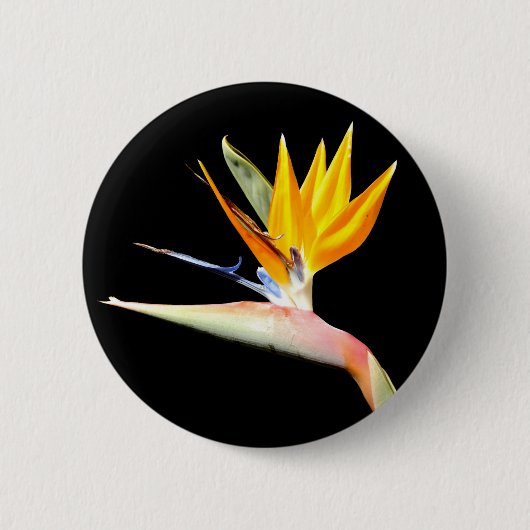 Paradiesvogel Pflanzen-Abzeichen Button (Vorderseite)