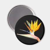 Paradiesvogel Pflanzen-Magneten Magnet (Vorderseite/Rückseite)