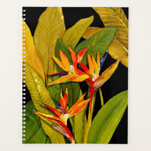 Paradiesvogel Planer