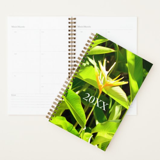 Paradiesvogel Planer (Anzeige)