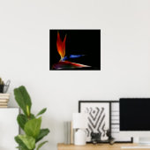 Paradiesvogel Poster (Heimbüro)
