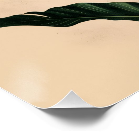 Paradiesvogel Poster (Ecke)