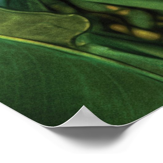 Paradiesvogel Poster (Ecke)