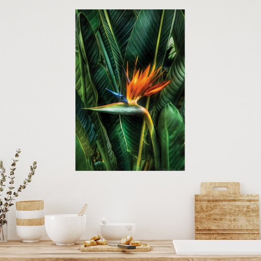 Paradiesvogel Poster (Küche)