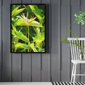 Paradiesvogel Poster