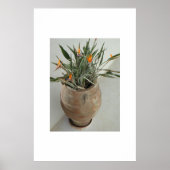 Paradiesvogel Poster (Vorne)