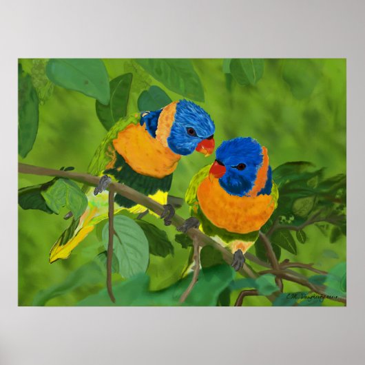 Paradiesvögel Poster (Vorne)