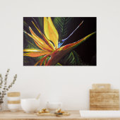Paradiesvogel Poster (Küche)