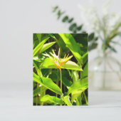 Paradiesvogel Postkarte (Stehend Vorderseite)