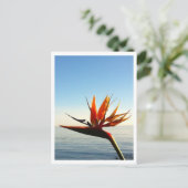 Paradiesvogel Postkarte (Stehend Vorderseite)