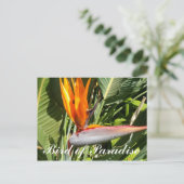 Paradiesvogel Postkarte (Stehend Vorderseite)