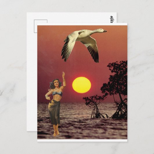 Paradiesvogel - postkarte (Vorne/Hinten)