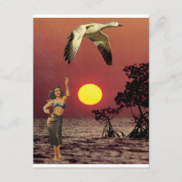 Paradiesvogel - postkarte