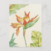 Paradiesvogel Postkarte (Vorderseite)