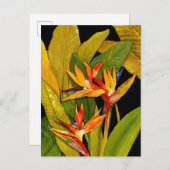 Paradiesvogel Postkarte (Vorne/Hinten)