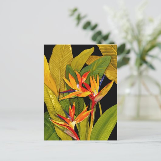 Paradiesvogel Postkarte (Stehend Vorderseite)