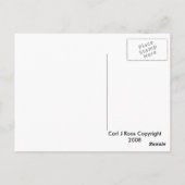 Paradiesvogel Postkarte (Rückseite)