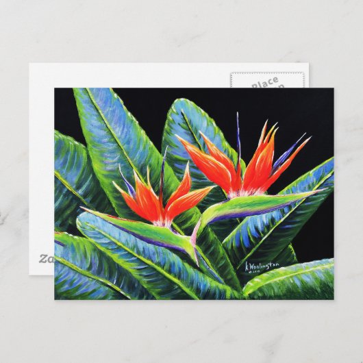 Paradiesvögel Postkarte (Vorne/Hinten)