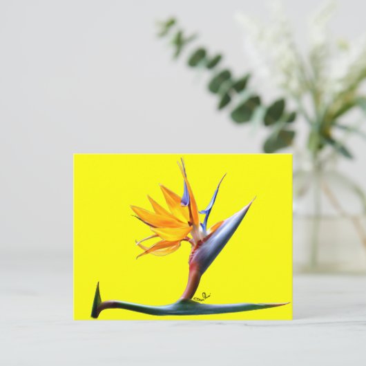 Paradiesvogel Postkarte (Stehend Vorderseite)