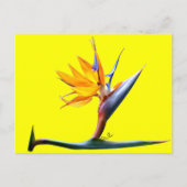 Paradiesvogel Postkarte (Vorderseite)