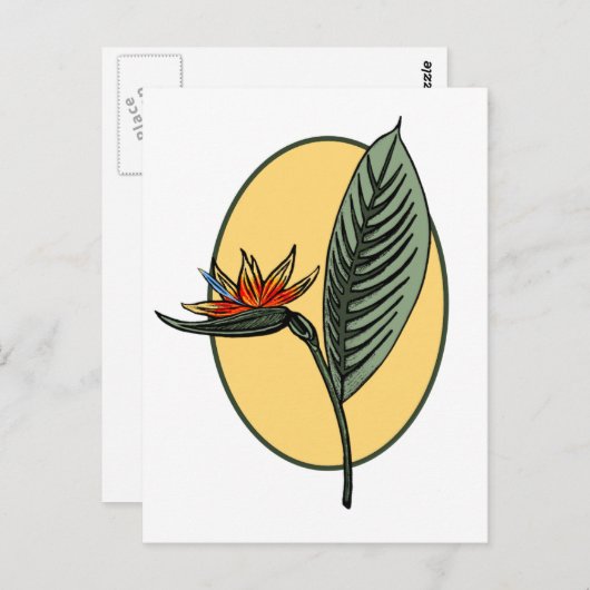 Paradiesvogel Postkarte (Vorne/Hinten)