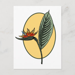 Paradiesvogel Postkarte