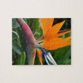 Paradiesvogel Puzzle (Horizontal)