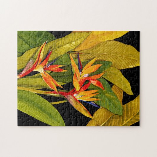 Paradiesvogel Puzzle (Horizontal)