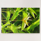 Paradiesvogel Puzzle (Horizontal)