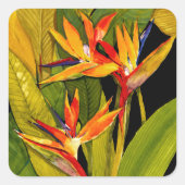 Paradiesvogel Quadratischer Aufkleber (Vorderseite)