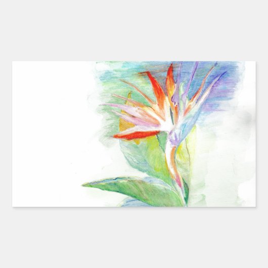 Paradiesvogel Rechteckiger Aufkleber (Vorderseite)
