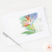 Paradiesvogel Rechteckiger Aufkleber (Umschlag)